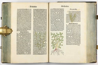 Hortus Sanitatis.