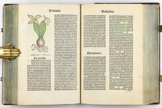 Hortus Sanitatis.