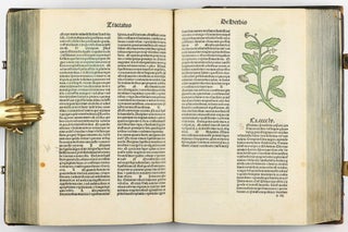 Hortus Sanitatis.