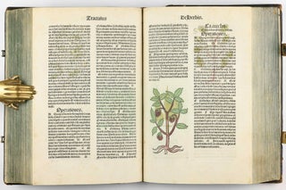 Hortus Sanitatis.