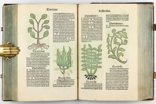 Hortus Sanitatis.