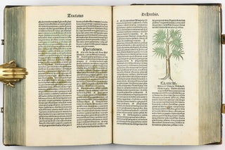 Hortus Sanitatis.