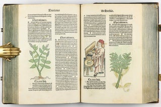 Hortus Sanitatis.