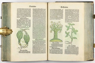 Hortus Sanitatis.