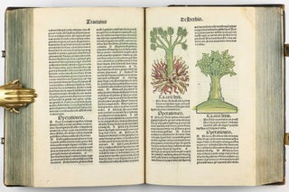 Hortus Sanitatis.
