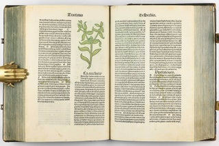 Hortus Sanitatis.