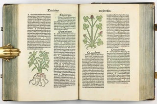 Hortus Sanitatis.