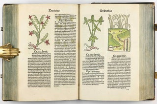 Hortus Sanitatis.