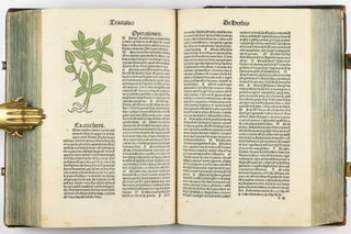 Hortus Sanitatis.