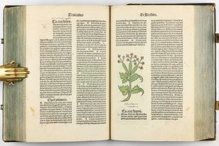 Hortus Sanitatis.