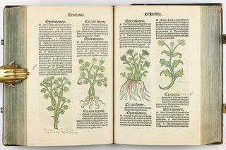 Hortus Sanitatis.