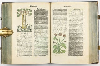 Hortus Sanitatis.