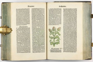 Hortus Sanitatis.