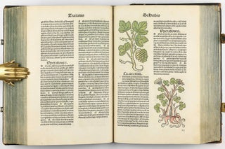 Hortus Sanitatis.