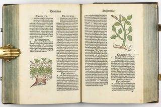 Hortus Sanitatis.