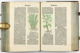 Hortus Sanitatis.