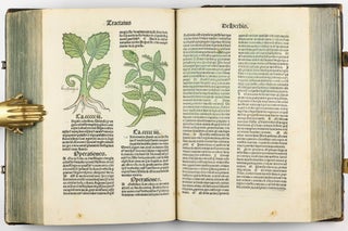 Hortus Sanitatis.