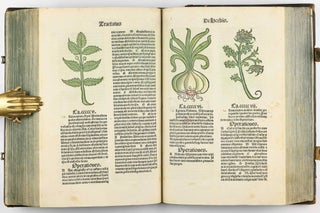 Hortus Sanitatis.