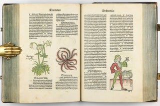 Hortus Sanitatis.