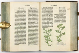 Hortus Sanitatis.