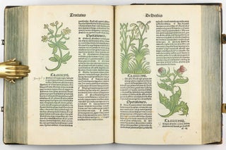 Hortus Sanitatis.