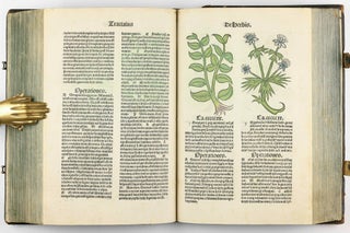 Hortus Sanitatis.