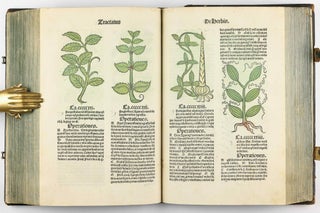 Hortus Sanitatis.
