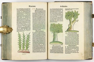 Hortus Sanitatis.