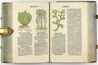 Hortus Sanitatis.