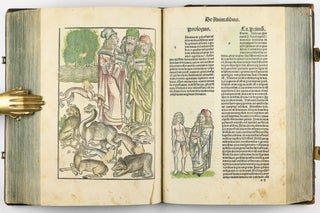 Hortus Sanitatis.