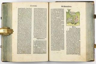 Hortus Sanitatis.