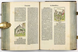 Hortus Sanitatis.