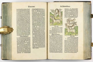 Hortus Sanitatis.