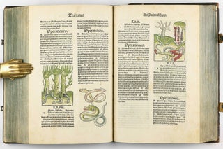 Hortus Sanitatis.
