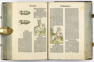 Hortus Sanitatis.