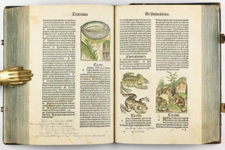 Hortus Sanitatis.