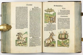 Hortus Sanitatis.