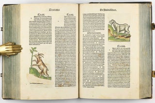 Hortus Sanitatis.