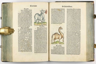 Hortus Sanitatis.