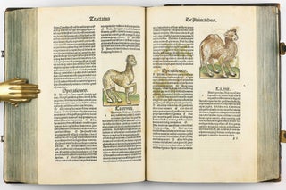 Hortus Sanitatis.