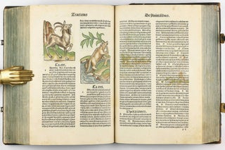 Hortus Sanitatis.