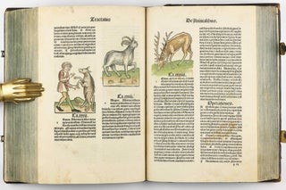 Hortus Sanitatis.