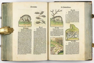 Hortus Sanitatis.