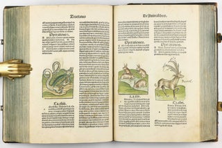 Hortus Sanitatis.