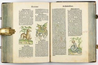 Hortus Sanitatis.
