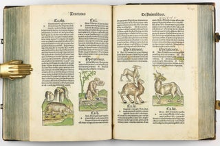 Hortus Sanitatis.