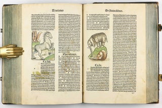 Hortus Sanitatis.