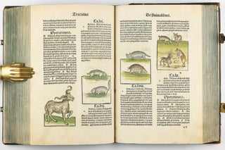 Hortus Sanitatis.