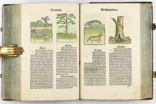 Hortus Sanitatis.