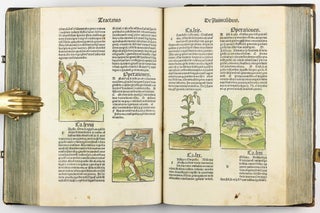 Hortus Sanitatis.